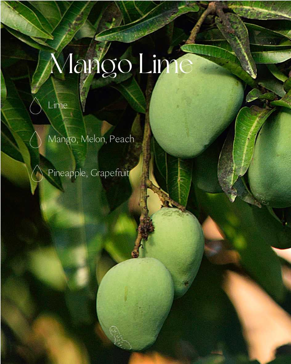 Mango Lime fragrance oil 250ml/8.45oz