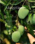 Mango Lime fragrance oil 250ml/8.45oz