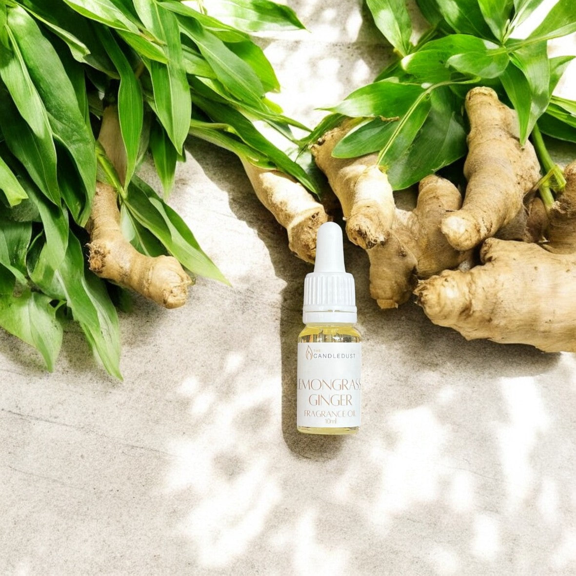 Lemongrass fragrance oil 10ml/0.34oz